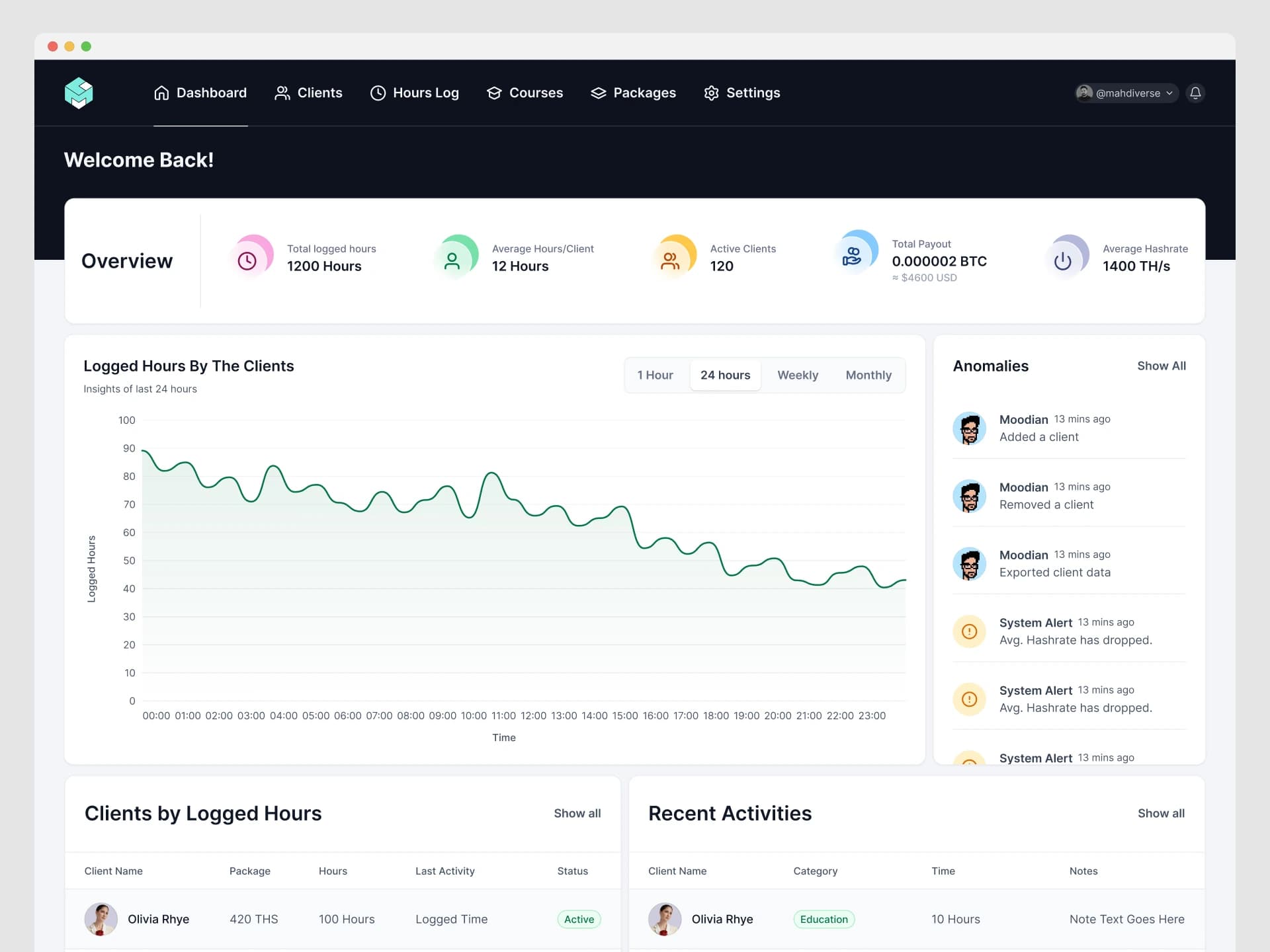 Admin dashboard: logged hours, active clients, total payout and the anomalies feed