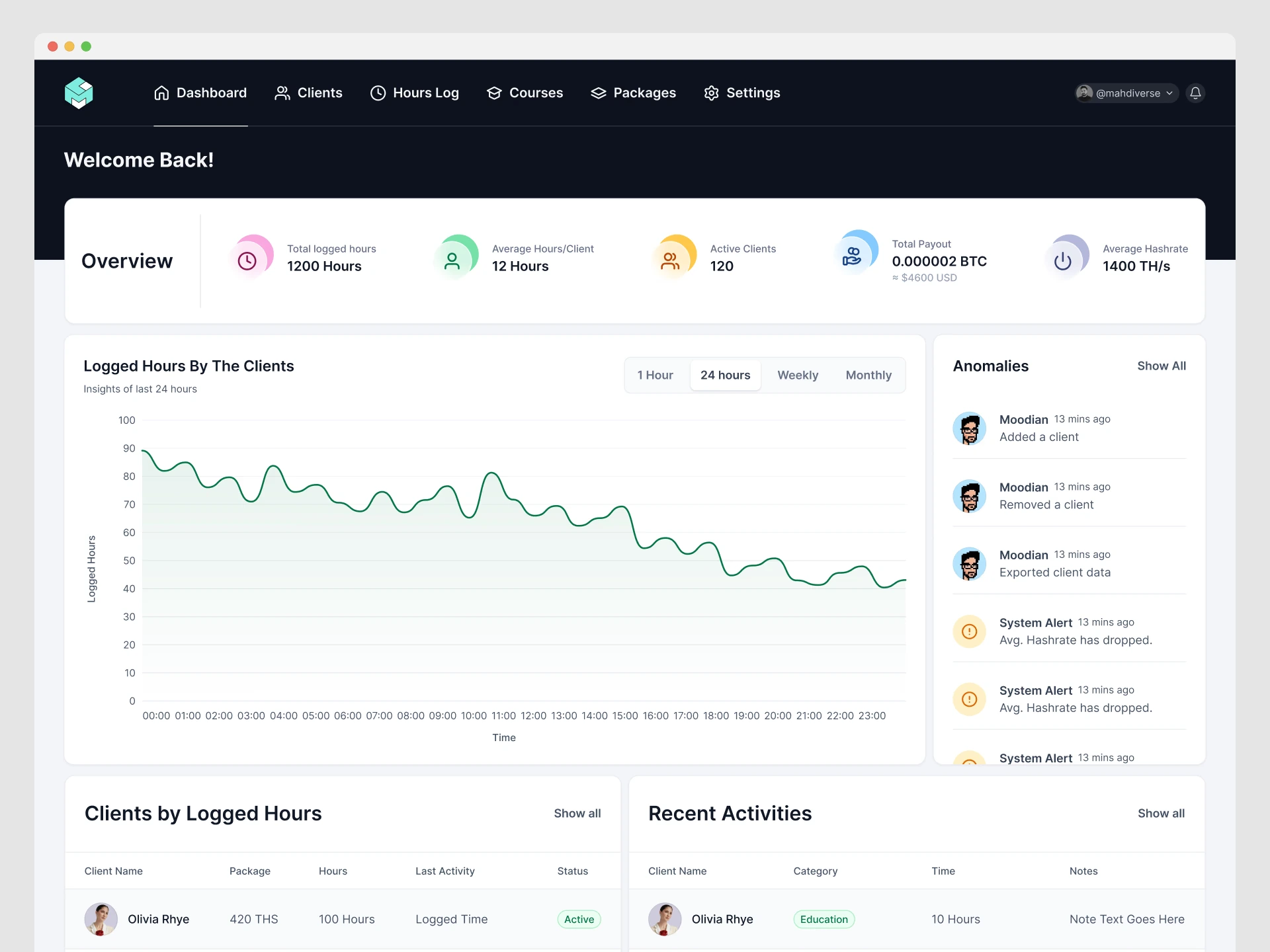 Admin dashboard: logged hours, active clients, total payout and the anomalies feed